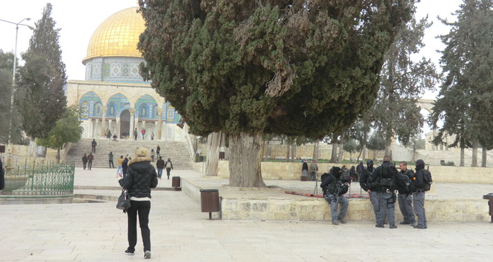 Israelische Polizisten haben einen französischen Touristen im Verhör. (Archivbild)