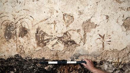 Die Archäologen wissen noch nicht, was es mit den geheimnisvollen Symbolen auf sich hat.