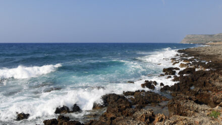 Im Mittelmeer leben mehr als 130 Hai- und Rochen-Arten.