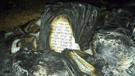 Die Überreste der verbrannten Torah-Rollen aus der Gedenksynagoge
