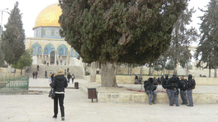 Israelische Polizisten auf dem Tempelberg-Plateau (Archivbild)