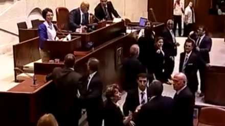 Die Knesset-Abgeordnete Hanin Suabi sorgte im Juni für einen Tumult, als sie israelische Soldaten als „Mörder“ bezeichnete