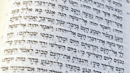 Für 80 Prozent der jüdischen Israelis ist die Bibel heilig oder identitätsstiftend