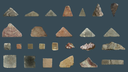 Das Tempelberg-Siebeprojekt glaubt, dass diese Marmorfragmente aus dem Tempel des Herodes stammen