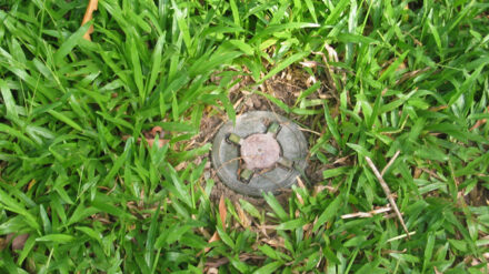 Lebensgefahr im Grünen: Tretmine im Grasboden (Symbolbild)