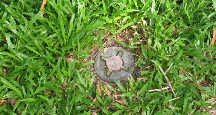 Lebensgefahr im Grünen: Tretmine im Grasboden (Symbolbild)