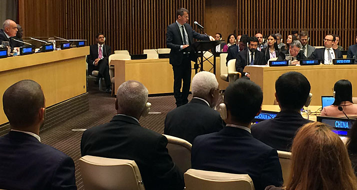 Der Auftritt des „B'Tselem“-Vorsitzenden El-Ad vor dem Sicherheitsrat stößt in Israel auf Kritik