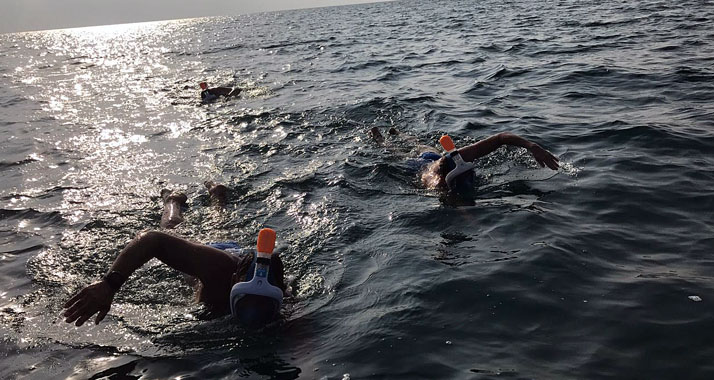 Die Schwimmer hatten sich mit Schnorcheln und Schutzmasken ausgerüstet