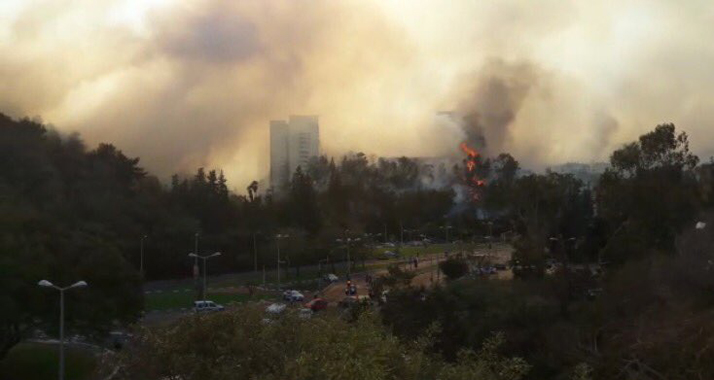Polizeikräfte und Feuerwehrmänner haben auch in der Gegend um Haifa mit den Waldbränden zu kämpfen