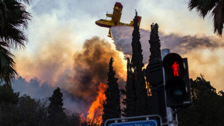 Im Einsatz über Haifa: Ein Löschflugzeug der Griechischen Luftstreitkräfte