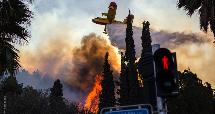 Im Einsatz über Haifa: Ein Löschflugzeug der Griechischen Luftstreitkräfte