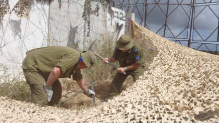 Schuften für die Verteidigung Israels: Jedes Jahr melden sich mehrere tausend Freiwillige für den Armeedienst