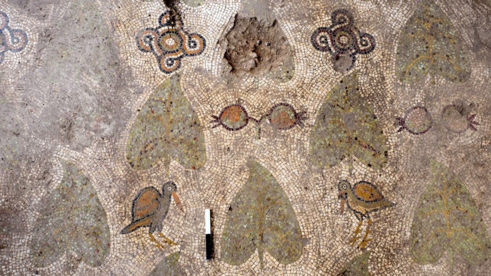 Der gut erhaltene Mosaikboden zeigt Blätter und Vögel