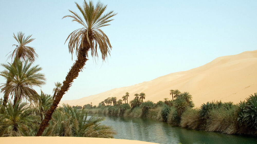 Eine Oase in der Sahara erfrischt nicht nur die Augen, sondern bietet lebensnotwendiges Wasser