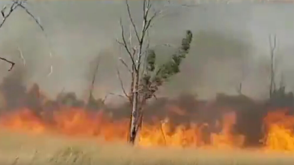 Israelische Felder in der Grenzregion zum Gazastreifen leiden unter den Angriffen der Branddrachen