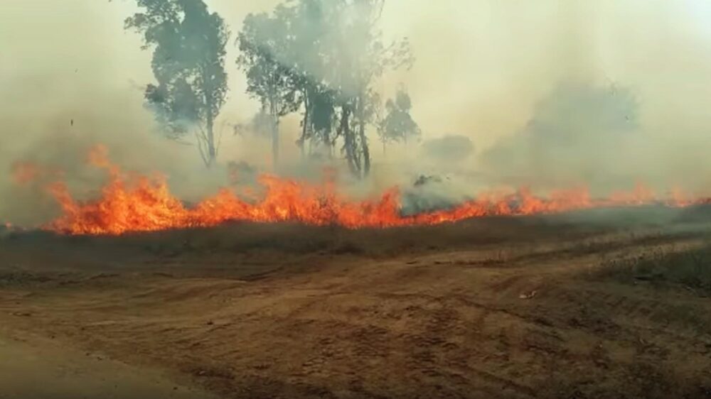 Seit Ende März kommt es in Israel immer wieder zu Bränden, die durch Feuerdrachen aus dem Gazastreifen ausgelöst werden