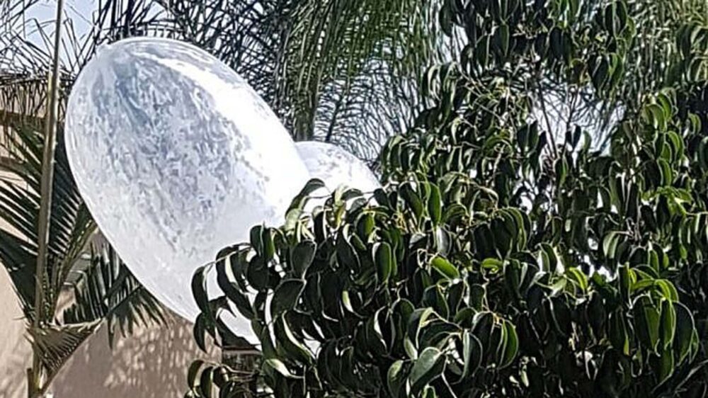 Einer der Ballons mit Sprengmitteln ist am Sonntag in einem Gebüsch hängengeblieben