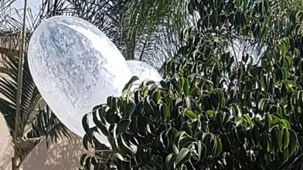 Brandballons wie dieser sollen Schäden in Israel anrichten (Archivbild)