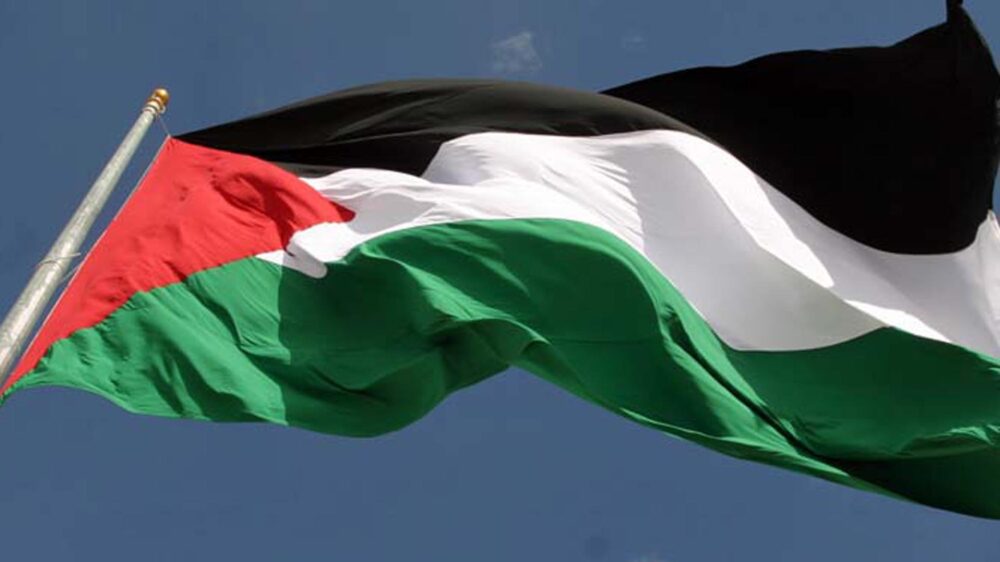 Auf der Demonstration gegen das Nationalstaatsgesetz am Samstag in Tel Aviv gab es einige palästinensische Flaggen zu sehen (Symbolbild)