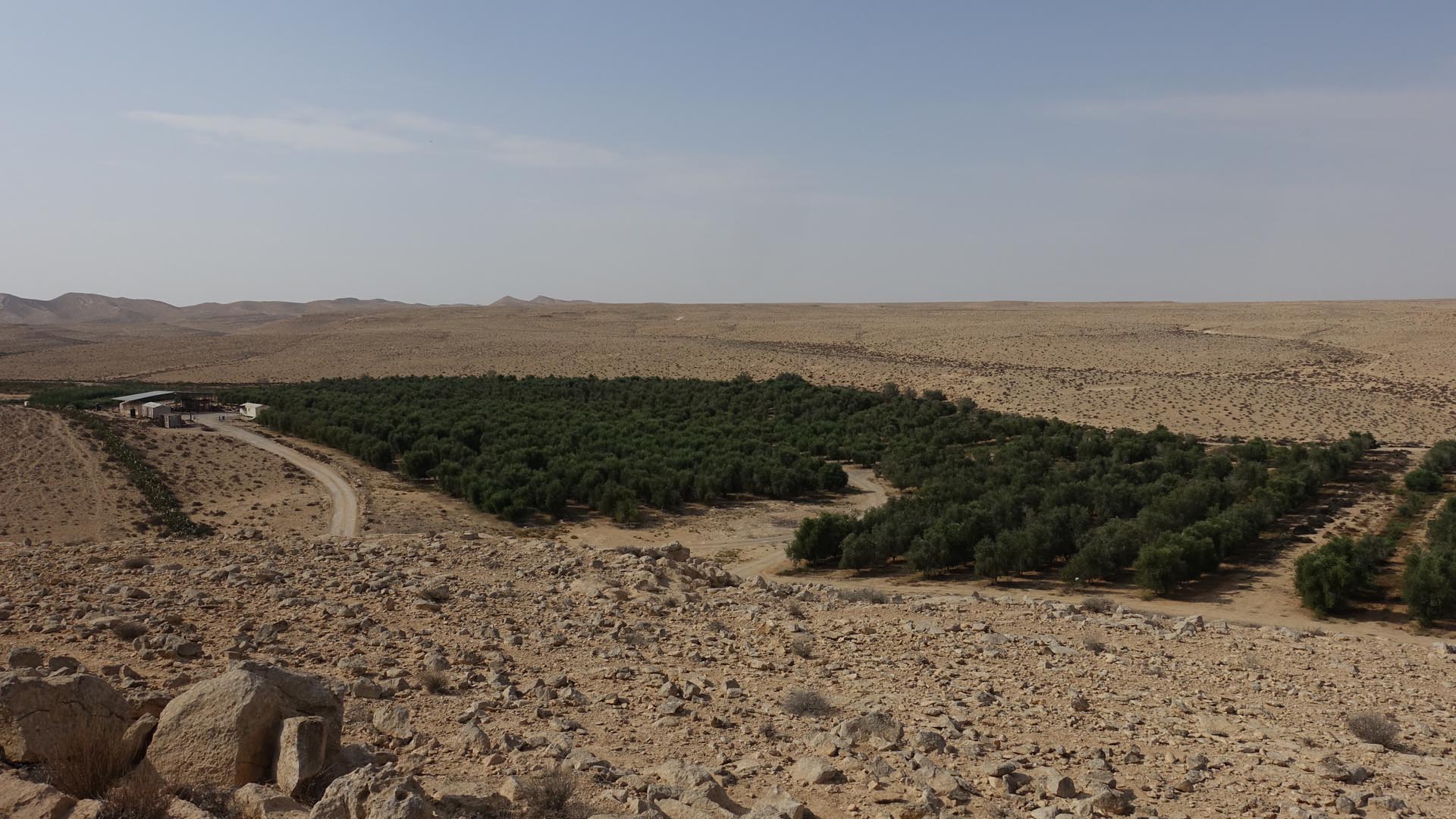 Wenn es gelingt, die Wüste zu bewässern, ist der Wüstenboden fruchtbarer als andere Bodenarten
