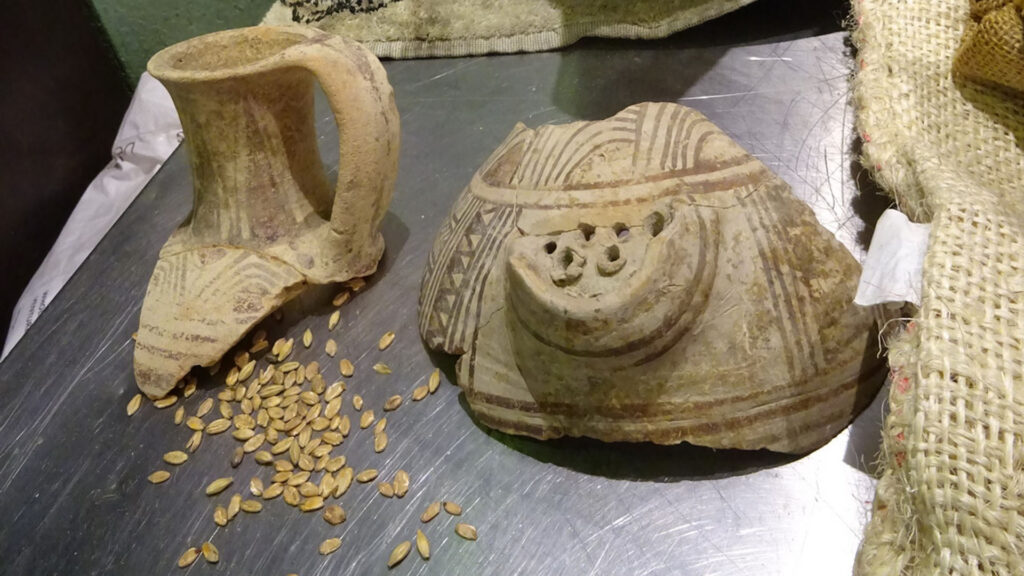 In alten Gefäßen haben Forscher Spuren von Hefe entdeckt