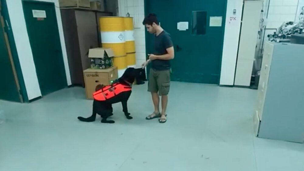 Joav Golan beim Training mit seinem Hund Tai