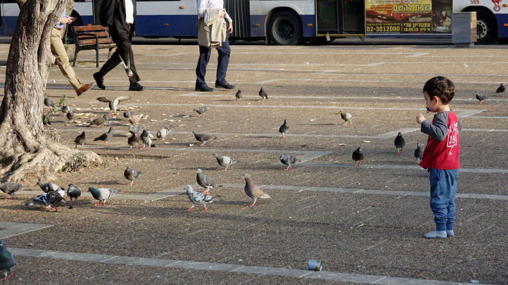 Ein Junge spielt auf dem Rabin-Platz in Tel Aviv mit den Tauben: Im jüdischen Jahr 5779 wurden in Israel rund 196.000 Babys geboren