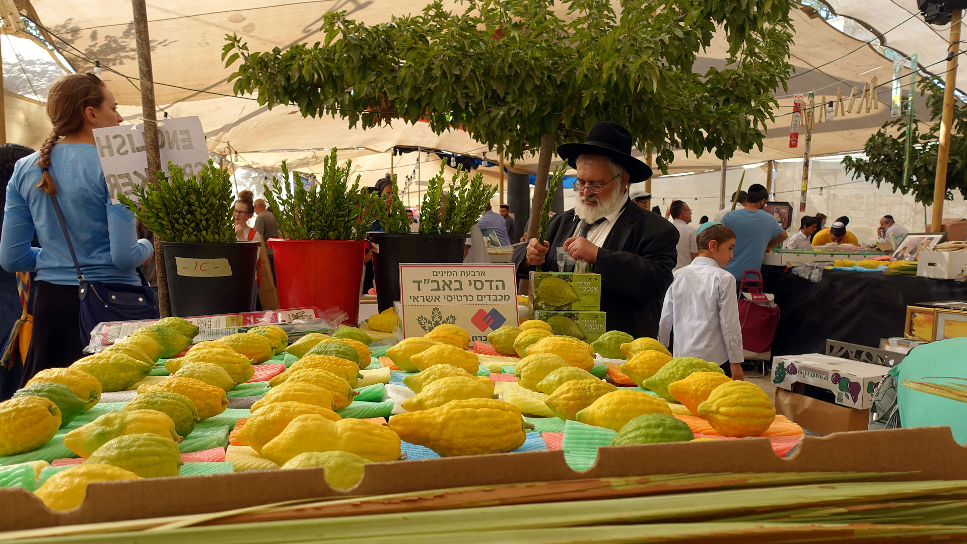 Neben den Zweigen gehört die Zitrusfrucht Etrog zu den „Vier Arten“