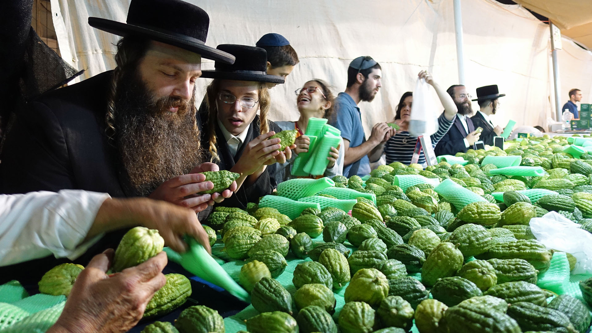 Ultra-orthodoxe Juden begutachten auf dem Markt Etrog-Früchte