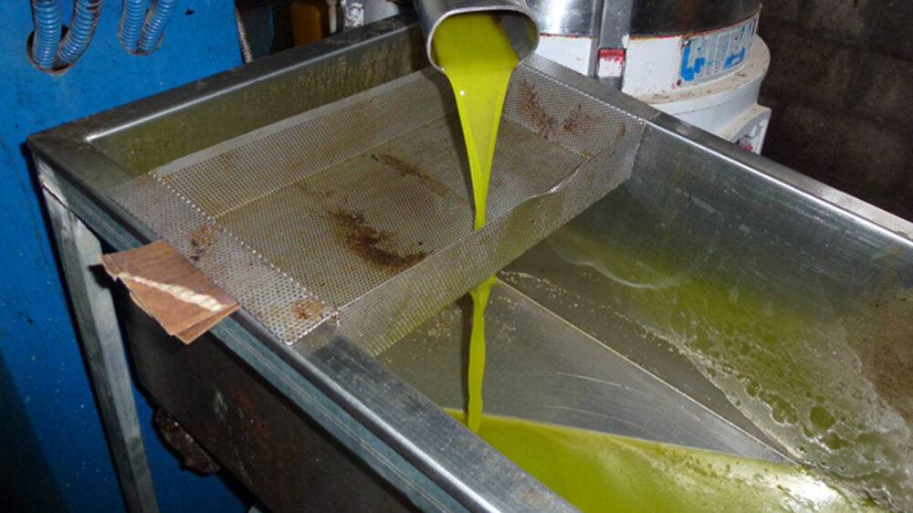 Bei der Produktion von Olivenöl entsteht viel Abfall, der sich mit der richtigen Technik sinnvoll nutzen lässt