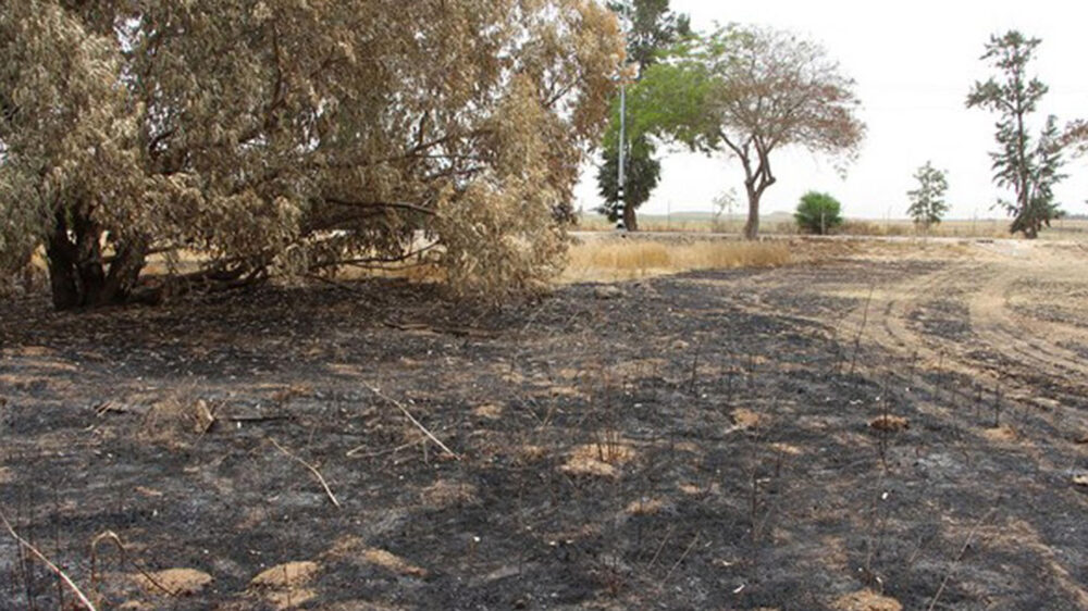 Brandschäden: Mensch und Natur sind vom Feuerterror aus dem Gazastreifen betroffen