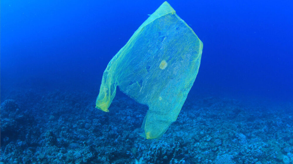 Schlecht für Meeresbewohner: Ein Plastikbeutel treibt im Wasser (Symbolbild)