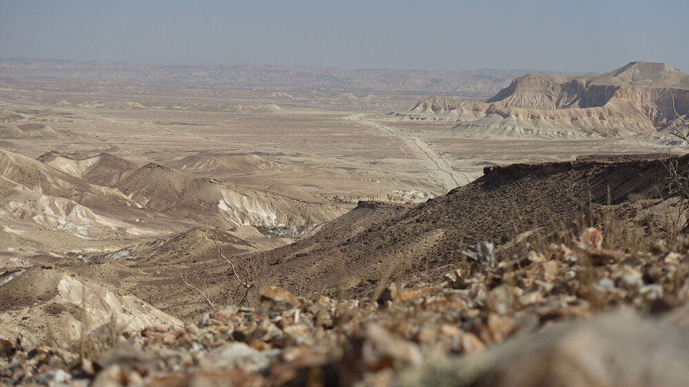 Der Israeli Zeevi erklärt, warum „Wüste“ mitunter auch als „Weide“ übersetzt werden kann