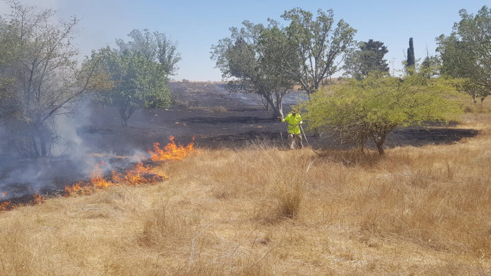 Die Ballons lösten am Dienstag mehrere Brände in Südisrael aus