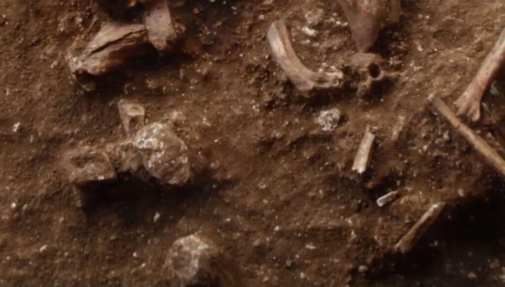 Die Funde von Nescher Ramla revidieren nach Ansicht der Forscher das bisherige Geschichtsbild