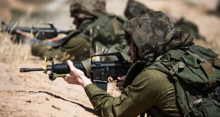 In Israel beteiligen sich immer mehr Araber an der Landesverteidigung