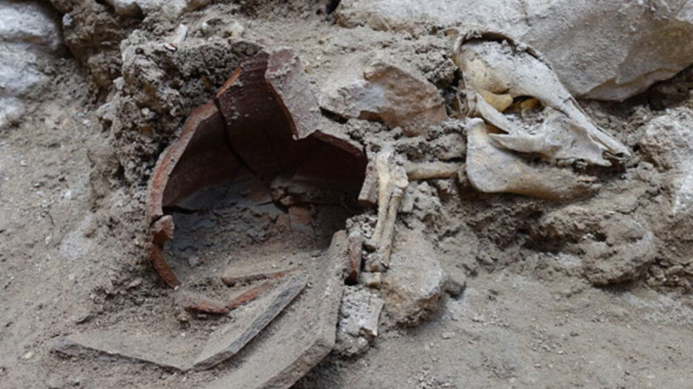 Die Ferkelknochen wurden in der Stadt Davids entdeckt, nicht weit entfernt vom Tempelberg