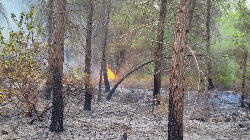 Auch einzelne Feuer können sich als gefährlich erweisen