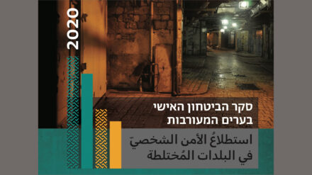 Die ausführliche Version der Studie ist auf Hebräisch und Arabisch erschienen