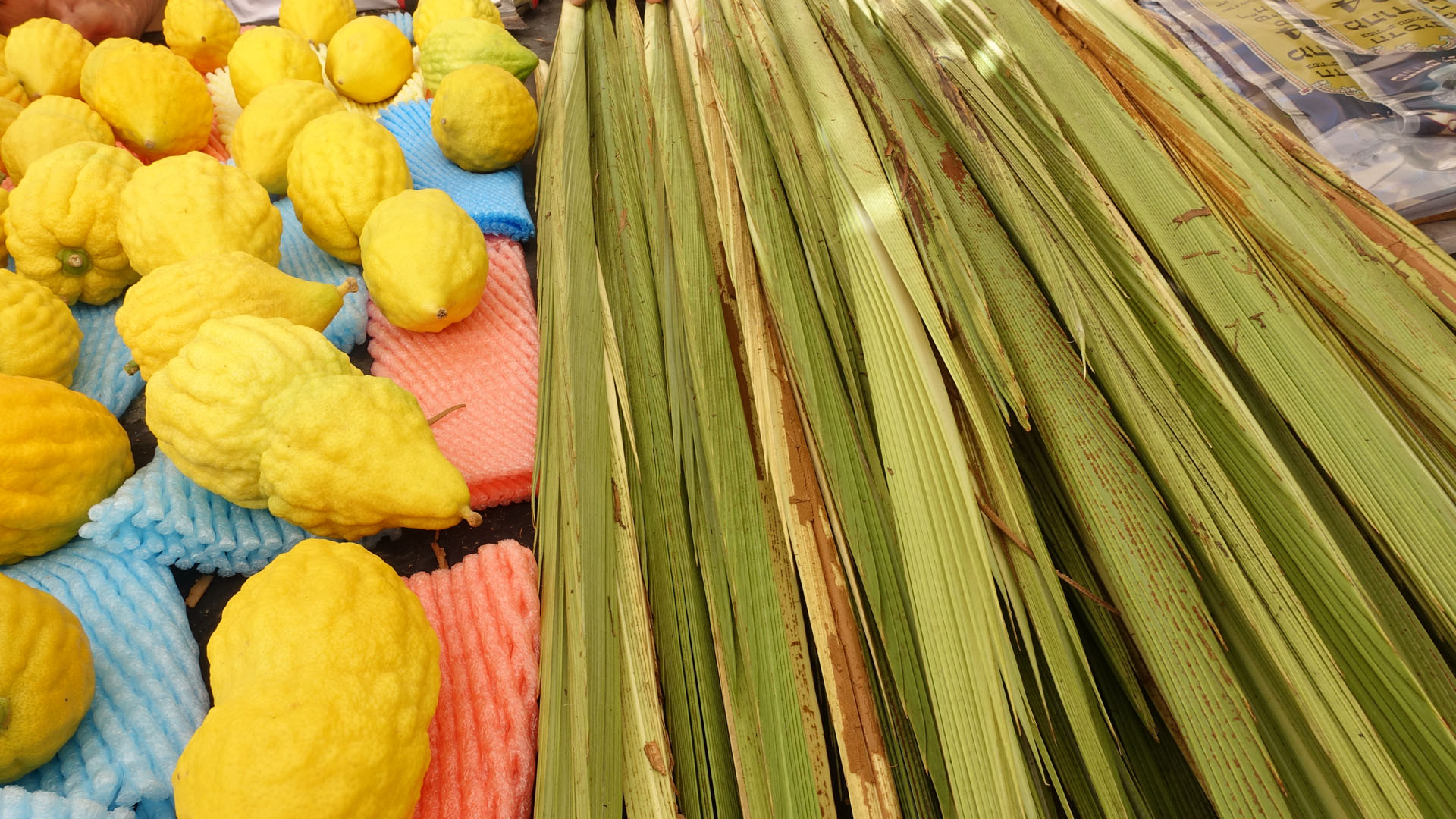 Etrog und Lulaw gibt es auf dem Markt zu kaufen