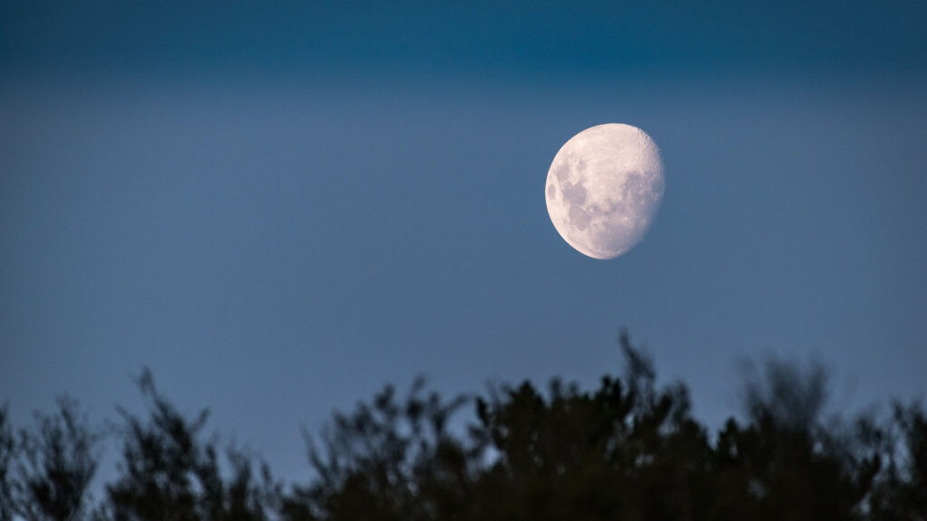 Ein neues gemeinsames Projekt zwischen Israel und den Emiraten zielt auf den Mond ab