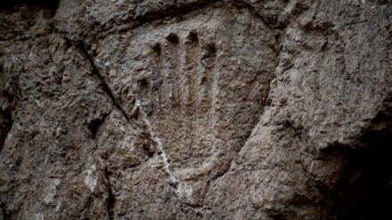 In einem felsigen Verteidigungsgraben in Jerusalem haben Archäologen einen merkwürdigen Handabdruck gefunden