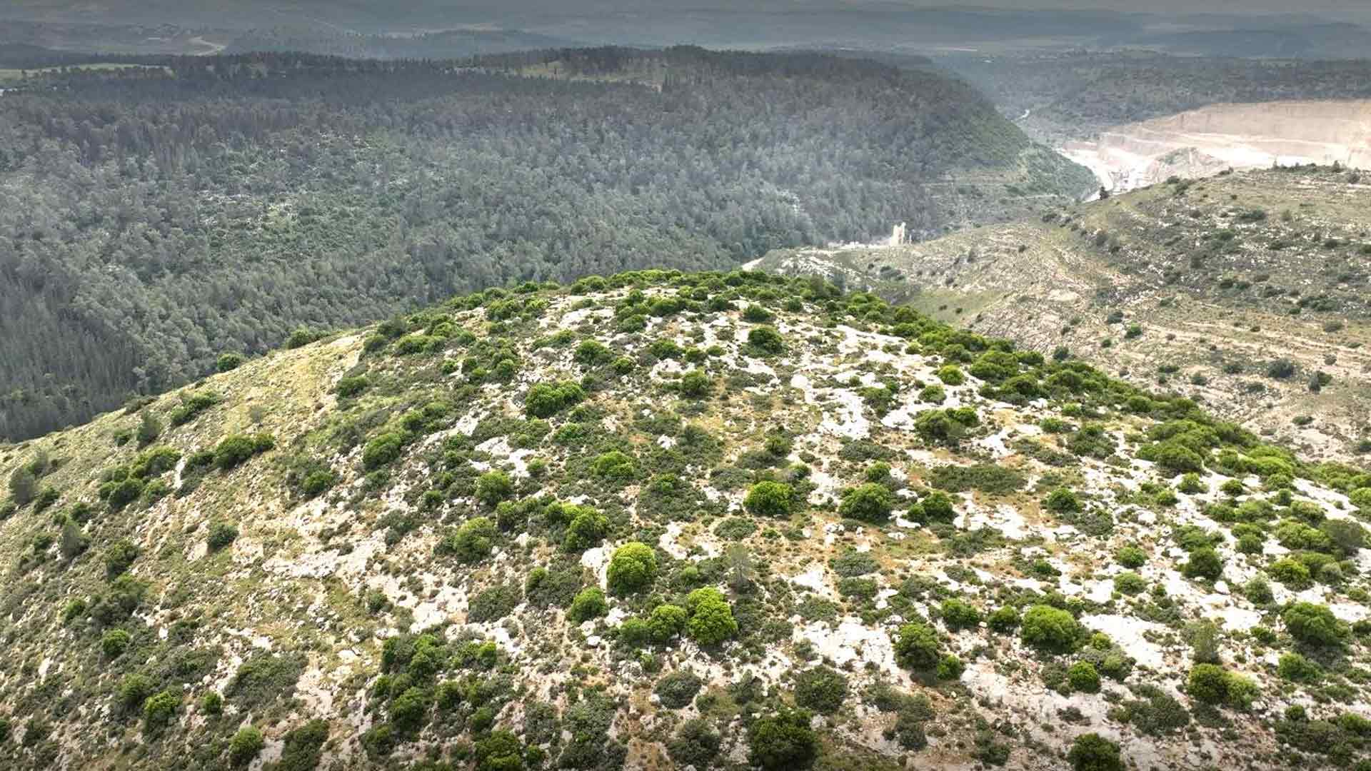 Auf diesem Hügel südwestlich von Jerusalem wurde die Schlacht zwischen Arabern und dem Konvoi der 35 ausgetragen