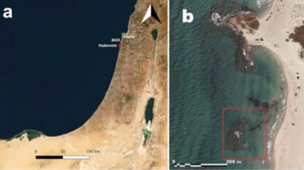 Abbildung der Ausgrabungsgebiete a und b. Markierung von Habonim Nord westlich der israelischen Karmelküste