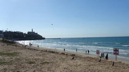 Yafo Strand