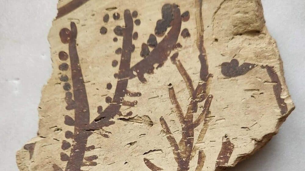 Bemalte Tonscherbe aus der Halaf-Kultur